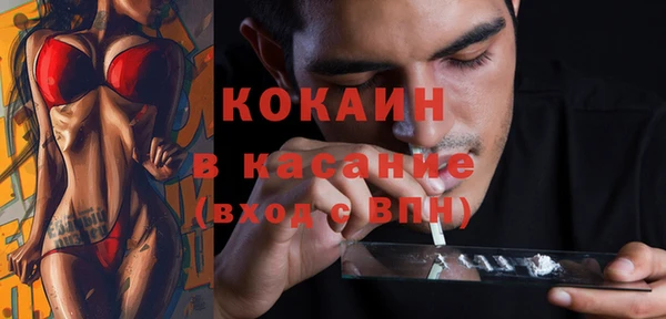 индика Алзамай