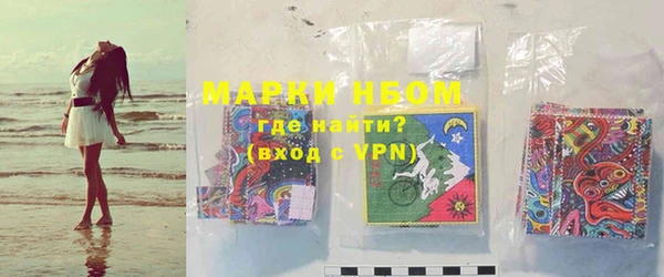 индика Алзамай